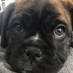 Meet your Posher, Madison